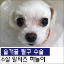 원당동물병원 이미지