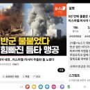 5년 만에 불붙은 시리아 내전…이스라엘·러시아 주춤한 틈 노렸다 이미지