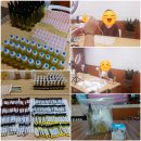 아로마테라피_아로마테라피DIY_비대면클래스_대전현충원_향기와힐링이 함께하는 원데이클래스