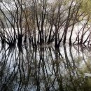 태극체육관 이미지