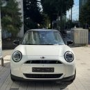 나누크 | 미니쿠퍼전기차, 미니3도어일렉트릭 나누크화이트 서울 출고 후기 리뷰 ! | 이다슬 SC (MINI 인천)