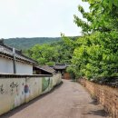 의령 탐진안씨 종택 이미지