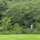 저지1521 이미지