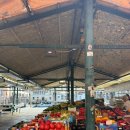 하이마이댕댕 | 이탈리아-베네치아D8] 본섬투어 '투어펠리체' , taverna san trovaso, osteria al squero, 부라노섬, L...