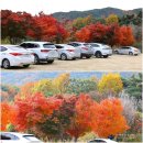 해인사관광안내소 | {대구시 동구} 팔공산단풍//팔공산 부인사의 가을풍경