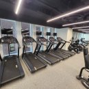 [삼성동]현대백화점 본사 &#39;오후 프리트레이너&#39; 모집합니다. 이미지