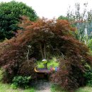 수목원관리사무소 이미지