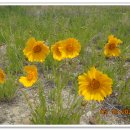 강천마을 이미지