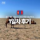 유심창고 | 몽골 4박 5일 남고비 여행 태눙투어 1일차 후기 공항미팅 숙소 등