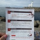 아남떡집 | 동문시장오메기떡 원조 제주동문시장떡집 아남떡집 후기