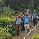 청계산 매봉 (35 매화산악회 정기산행 - 2016. 6. 13) 이미지