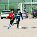 금정초등학교 이미지