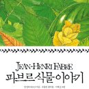 식물이야기 이미지