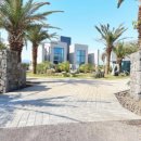 에다모니아 이미지