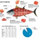 참치킹 이미지