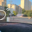 한마음동물의료원 | [안성, 한마음동물의료원-②] 개인적으로 아쉬운점이 많았던 강아지 건강검진 후기. (건강검진 후)