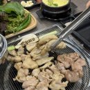 닭꿉꼬 이미지