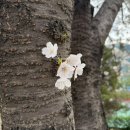 달빛책방달빛북스 | [옥상달빛] 우리 신나게 행복해지자