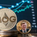 모그안경 이미지