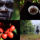 커피보까 이미지