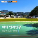 인라인장 | 인라인장 울타리(난간) 충격흡수 패드 설치 후기 – “보이는 안전”까지 잡았습니다