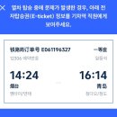 나의살던고향은 | 나의 살던 고향은 칭 다 오~