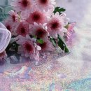 당신만을 위한 길 이미지