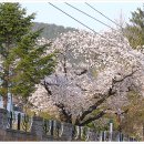 무주공공도서관 이미지