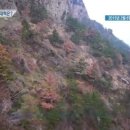 에이스안동환경 이미지