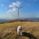 복목장 | 평창 애견동반 여행 강아지가 즐거운 대관령 하늘목장
