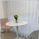 강아지 미용실 이미지