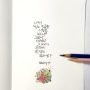 색연필 붓펜 그림 손글씨 이미지