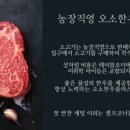 대영정기 이미지