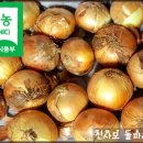 Re: 유기인증 장아찌용 작은양파 50% 맛보기이벤트 당첨자 발표 이미지