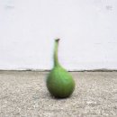 건넌곡 이미지