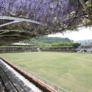 등나무 운동장 이미지