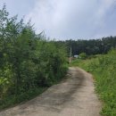 녹지농장 이미지