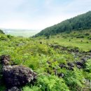 장생목장 이미지