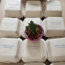 나도야 강사 이미지