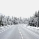 아리랑행정사합동사무소 이미지