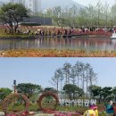 부전농수산물새벽시장(전통시장) 이미지