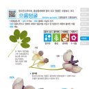 스튜디오두릅 이미지
