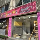 고양이무마취미용 고무미 이미지