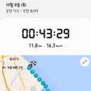 버디모텔