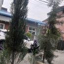 파릴리오 | 구미역 카페 파릴리오 금리단길카페 프렌치토스트 후기