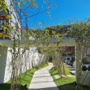 구암동482 | [ 대구 | 구암동카페 ] "소소래" 칠곡 도심속 숲속카페, 시그니처 커피 먹은 찐후기!!!