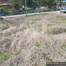 신한종합공인중개사사무소 이미지