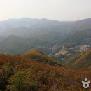 매봉산 이미지
