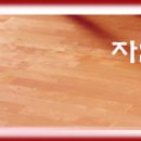 [성창기업지주][성창기업 보유토지 22만평..대운하 기대감과 자산가치주로 부각되고 있다] 이미지