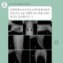 오케이동물병원 | 인천 송도 24시 동물 병원 오케이 동물 의료 센터 후기/송도 오케이 동물 병원